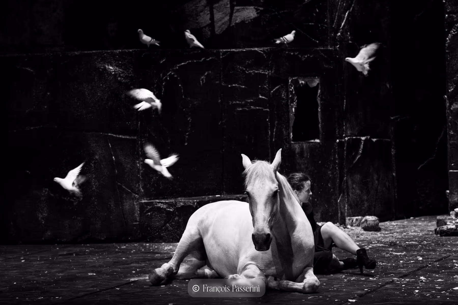 © Francois Passerini